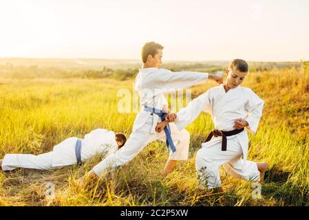 Junior karate fighters, training fight in summer field. Martial art workout outdoor, technique practice Stock Photo