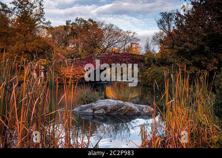 Fall foliage color of Central Park in Manhattan