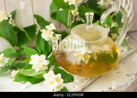 glass teapot with hot tea and jasmine flowers. branches of blooming jasmine on shabby background. Stock Photo