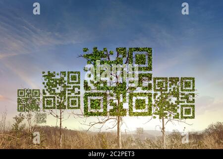 Tree QR Code for Blog, Used in Wilderness Road Blog concern…