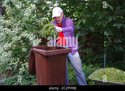 Green waste segregation. A gardener throwing green hay into a bio recycling brown bin. Ecology and the environment in the home garden. Stock Photo