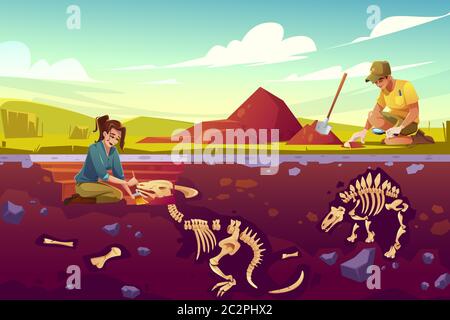 Archaeologists, paleontology scientists working on excavations digging soil layers with shovel and exploring founded artifacts, studying dinosaurs fossil skeletons bones cartoon vector illustration Stock Vector