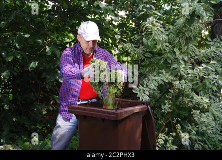 Green waste segregation. A gardener throwing green hay into a bio recycling brown bin. Ecology and the environment in the home garden. Stock Photo