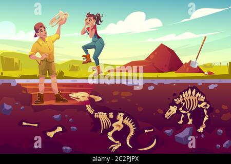 Archaeologists, paleontologist rejoice for exploring artifact dinosaurs skull, scientists working on excavations digging soil layers studying dino fossil skeletons bones, cartoon vector illustration Stock Vector