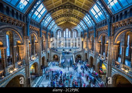 Main Hall of the Natural History Museum with unknown people.  Long exposure with people movement. Stock Photo