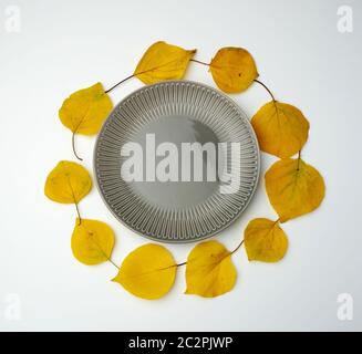 empty gray ceramic plate and yellow dry apricot leaves on a white background, top view Stock Photo