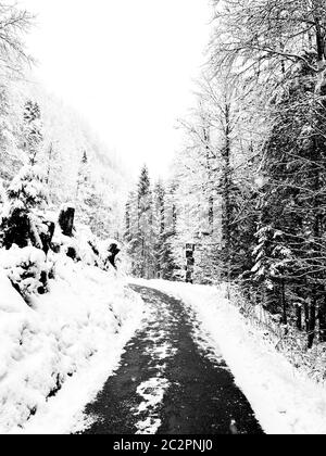 Walkway hiking epic mountain outdoor adventure to the old salt mine of Hallstatt pass the pine forest and Winter snow mountain landscape outdoor adven Stock Photo