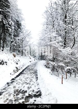 Walkway hiking epic mountain outdoor adventure to the old salt mine of Hallstatt pass the pine forest and Winter snow mountain landscape outdoor adven Stock Photo