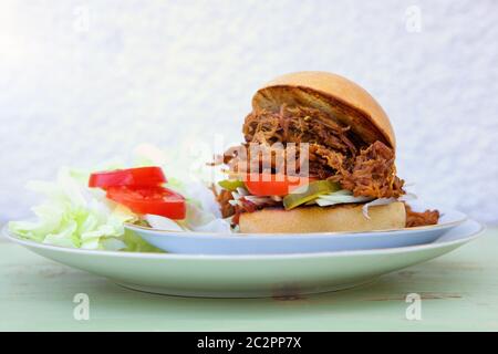 Pulled pork burger with fresh salad on plate on sunny day. Party food, garden party barbeque. Stock Photo