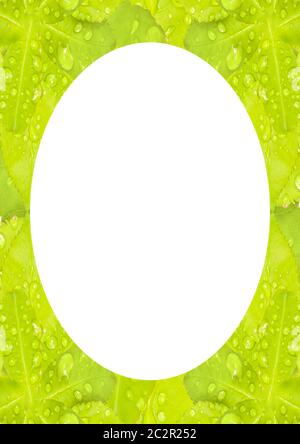 Circle Frame Background with Decorated Borders Stock Photo