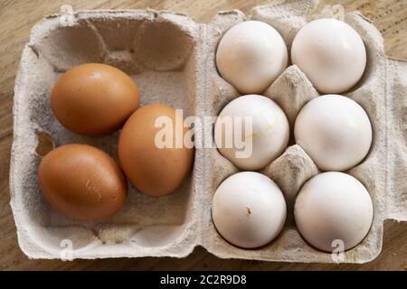 organic eggs from free-range hens in the special cartoons Stock Photo