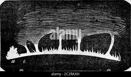 Solar flares on the surface of the sun. From Magasin Pittoresque, vintage engraving, 1876. Stock Photo