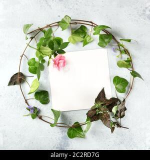 Invitation or greeting card square design template with a flatlay wreath of leaves and flowers, overhead shot with copyspace. Iv Stock Photo