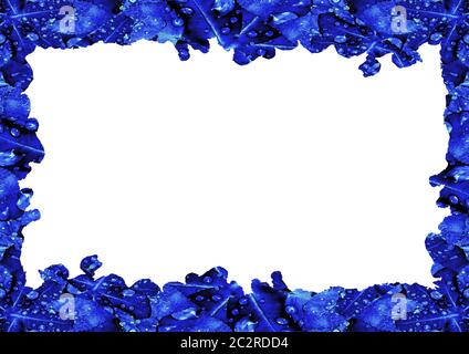 White Frame with Decorated Borders Stock Photo