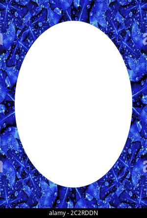 Circle Frame Background with Decorated Borders Stock Photo