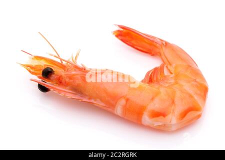 Close uo of red raw shrimps on a white background Stock Photo