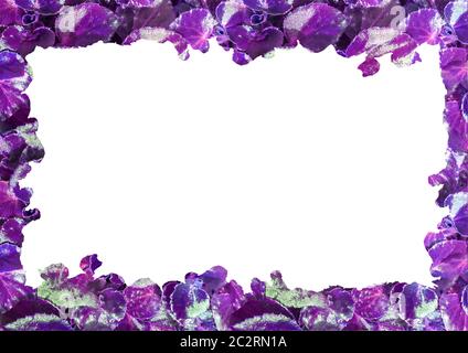 White Frame with Decorated Borders Stock Photo