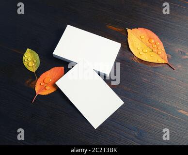 Blank business cards Stock Photo