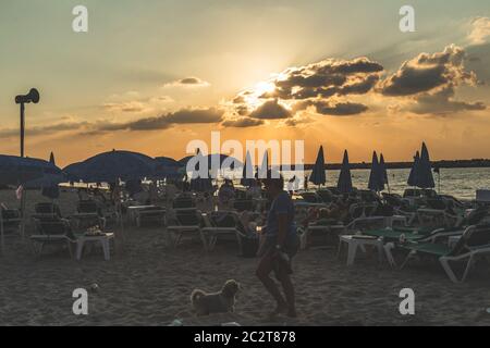 Tel Aviv/Israel-12/10/18: woman playing with her dog among the Sun loungers on a beach in Tel Aviv in the evening just before the sunset Stock Photo