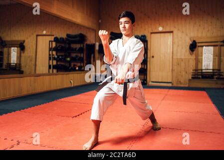 Martial arts karate master in white kimono and black belt on fight training in gym practicing kata Stock Photo