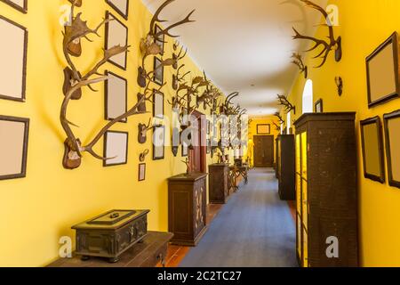 The hall of trophies, deer antlers, Europe. European museum, famous places for travel and tourism Stock Photo