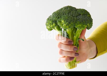 Fresh Organic Green Broccoli in Woman's Hand, Concept Healthy Food. Female Hand Holding Broccoli Isolated on White Background. Stock Photo