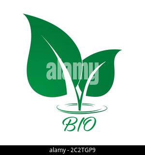 Two green leaves. A simple stylized vector illustration for a logo, label, or sticker with the words BIO. Vector illustration isolated on white backgr Stock Vector