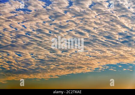 A thin layer of cumulus clouds in the sky, coloured/colored orange by the late evening sunlight. Stock Photo