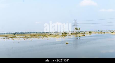 Agricultural land affected by flood. Flooded Food crop Fields. A Natural disaster in Agriculture and farming caused by due to heavy rain as Sea-level Stock Photo