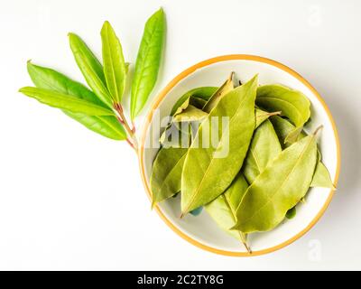 A small dish of dried bay leaves with a sprig of fresh bay isolated on a white background Stock Photo
