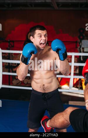Muscular fighter with an angry face on a ring.  Training gym on the background. Box sport. Stock Photo