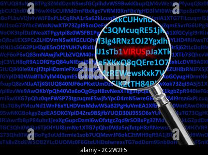 Magnifying glass focused on virus in middle of digital code Stock Photo