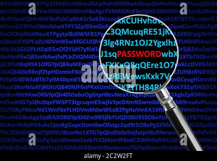 Magnifying glass focused on PASSWORD in middle of digital code Stock Photo
