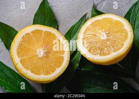 Two lemon slices, tropical citrus fruits with green leaves on grey concrete background, top view macro Stock Photo