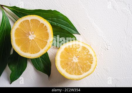 Two lemon slices, tropical citrus fruits with green leaves on white concrete background, top view macro Stock Photo