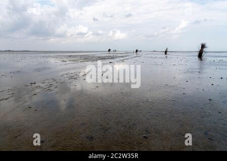 Calm and tranquil seascape at the beach at low tide in Wadden Sea, Germany Stock Photo