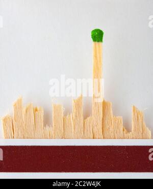 The last green match standing in matchbook Stock Photo