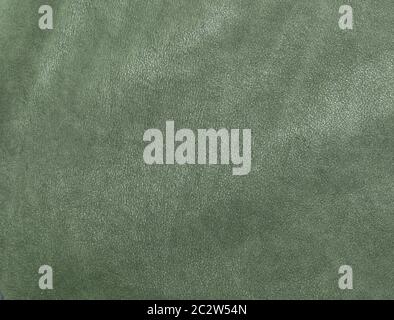 green textured suede leather Stock Photo