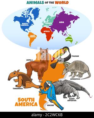educational illustration of cartoon South American animals Stock Photo