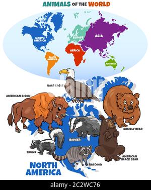 educational illustration of cartoon North American animals Stock Photo