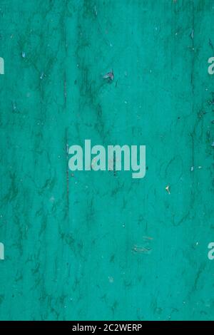 green painted board. wooden background. green background Stock Photo