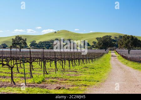 Santa Ynez Valley Stock Photo - Alamy