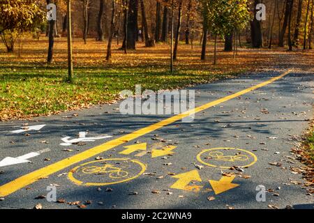 Painted bicycle and pedestrian symbol with arrow on asphalt road at city street or park on autumn day. Dedicated walkpath and cycling lane marked Stock Photo