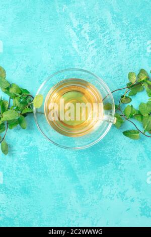 Mint tea cup, overhead shot on a vibrant turquoise background with fresh mint leaves and copyspace Stock Photo