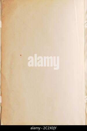 Old yellowed blank sheet of paper using as vintage background Stock Photo