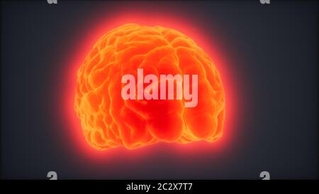 Loop Rotating Human Brain Animation Stock Photo - Alamy