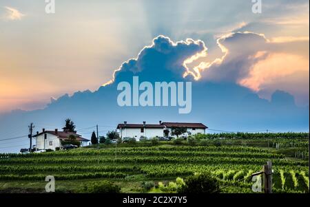 View of famous wine region Goriska Brda hills in Slovenia. Panoramic photo of villages of Gorica Hills with vineyards and grapevine covering hills. Ag Stock Photo