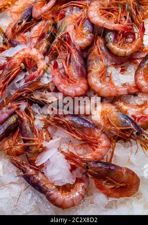 Fresh prawns at a fish market Stock Photo