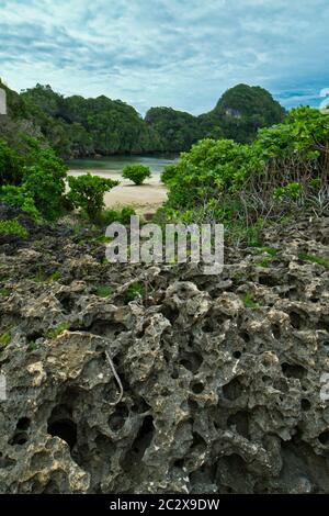 Trying to explore private conservation, Sempu Island Stock Photo