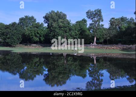 During the coronavirus pandemic, the temples of Angkor are deserted. here, the peaceful Srah Srang Reservoir / Baray awaits the return of the tourists. reflection of trees in water. Angkor Archaeological Park, Siem Reap Province, Cambodia. June 18th, 2020. © Kraig Lieb Stock Photo